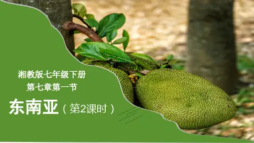 东南亚(课件)七年级地理下册(湘教版)