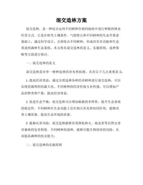 混交造林方案