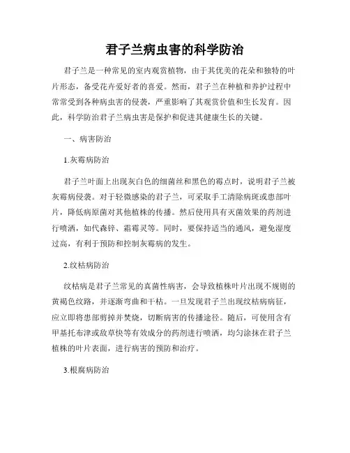 君子兰病虫害的科学防治