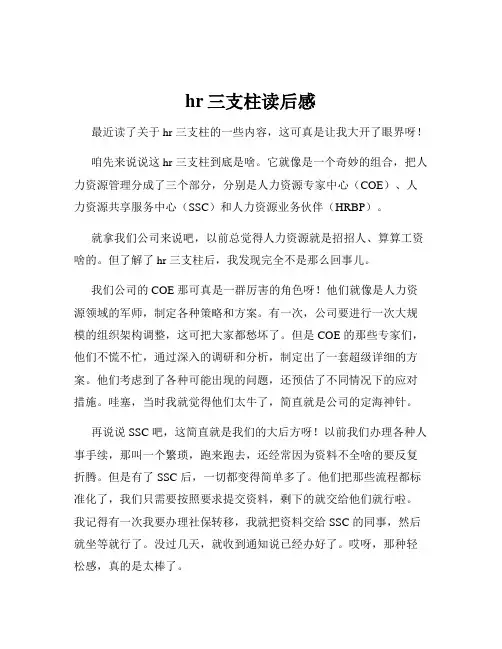 hr三支柱读后感