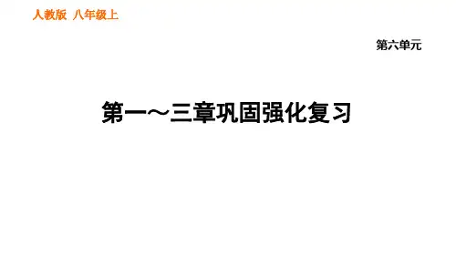 6.3  第一～三章巩固强化复习 2020秋人教版八年级上册生物课件(共21张PPT)