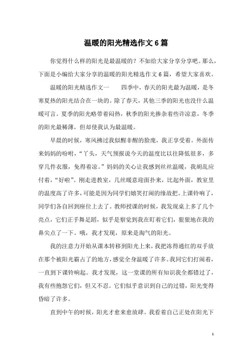 温暖的阳光精选作文6篇