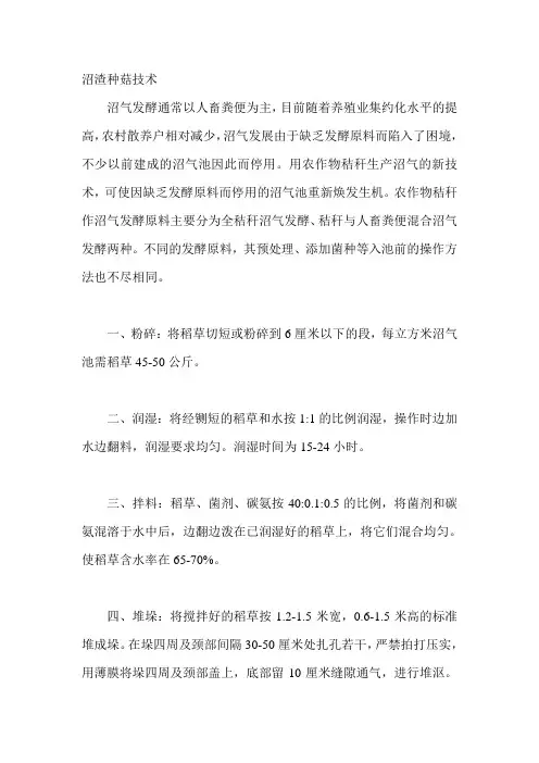 沼渣种菇技术