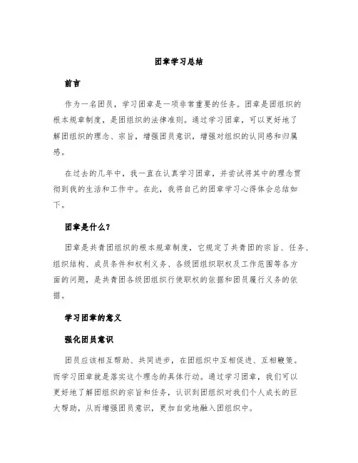 团章学习总结