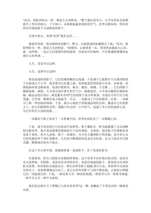 呼和浩特市中考满分作文-影子