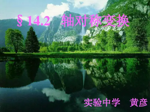 轴对称变换