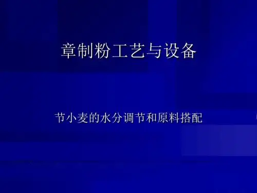 制粉工艺与设备培训课件(PPT 29页)
