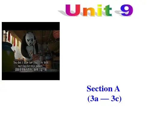 新目标版英语九年级全册Unit 9 I like music that I can dance to SectionA(3a-3c)课件 (共48张PPT)