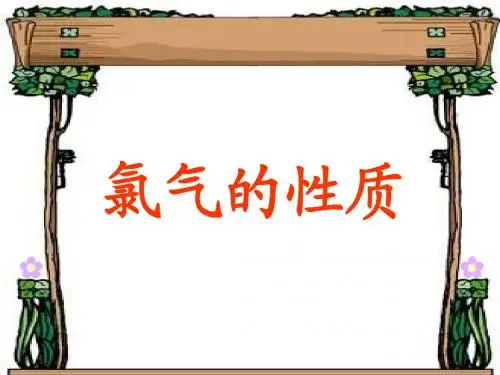 氯气的性质