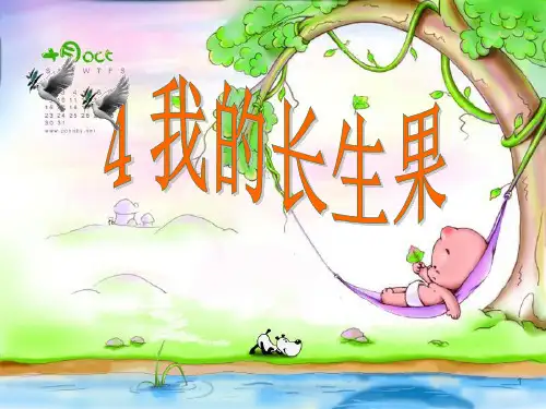  我的长生果精简完美版ppt课件