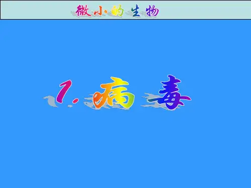 小学科学六年级上册《病毒》课件