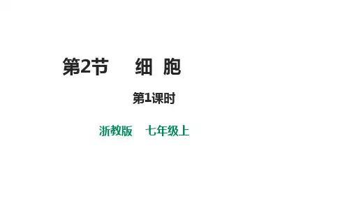 细胞(第1课时)(PPT课件(初中科学)15张)