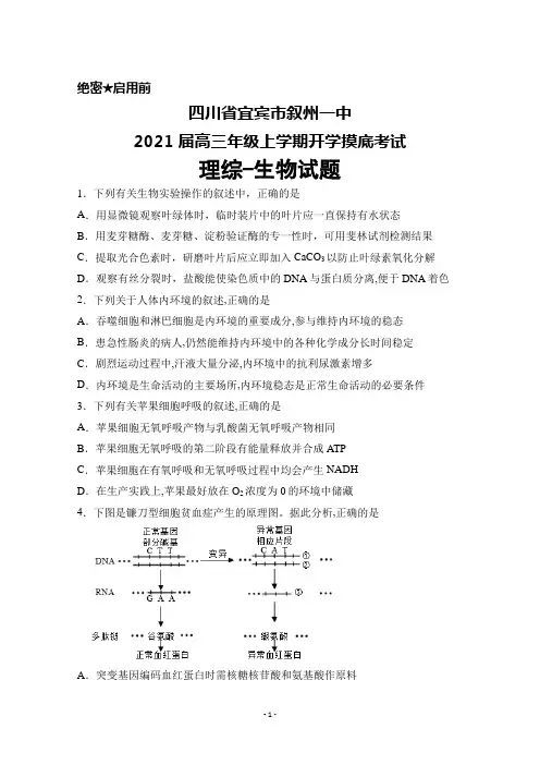 2021届四川省宜宾市叙州一中高三年级上学期开学摸底考试理综生物试题及答案