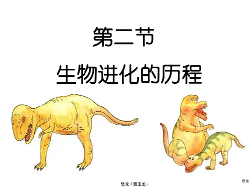 第二节生物进化的历程(人教版生物)