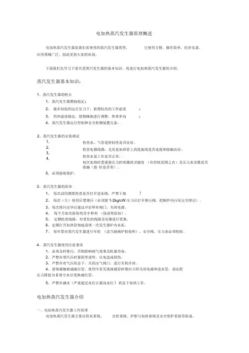 电加热蒸汽发生器原理概述