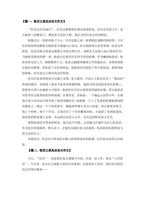 经历之我见议论文作