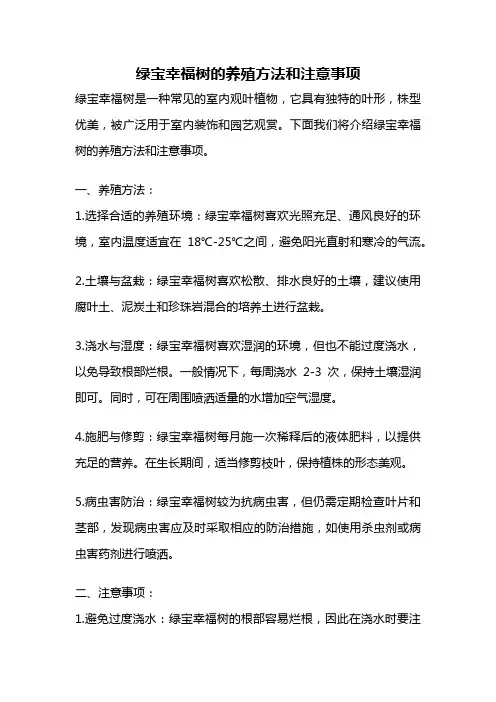 绿宝幸福树的养殖方法和注意事项