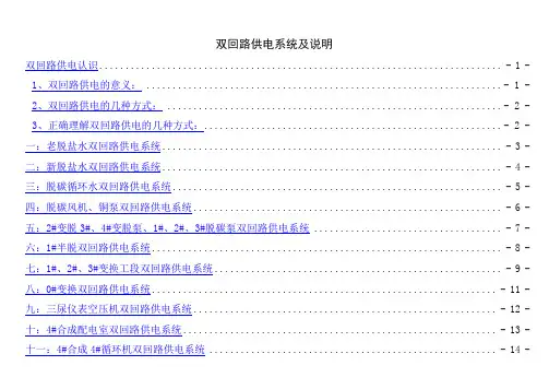 双回路供电系统及说明