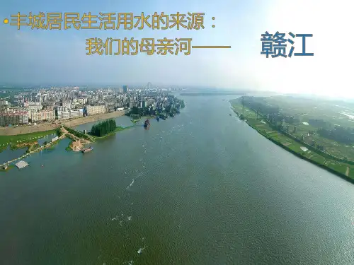 2020-2021学年人教版化学九年级上册 4.2 水的净化 课件