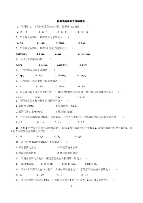 初三化学化合价与化学式专项练习