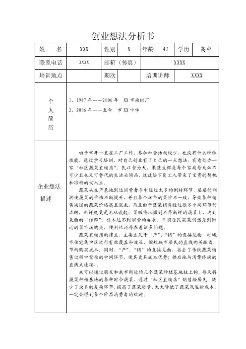 创业想法分析书（3页）