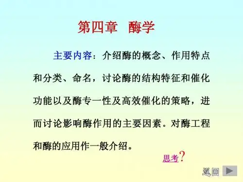 生物化学-酶学
