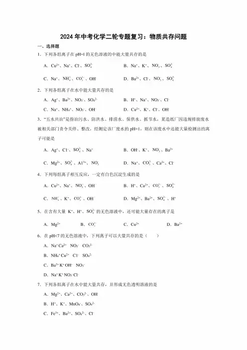 2024年中考化学二轮专题复习：物质共存问题含答案
