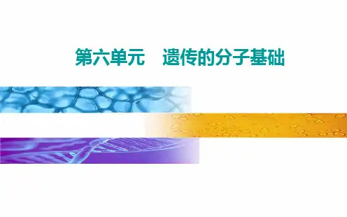 第六单元 第二讲 DNA分子的结构、复制和基因的本质-高考总复习生物课件
