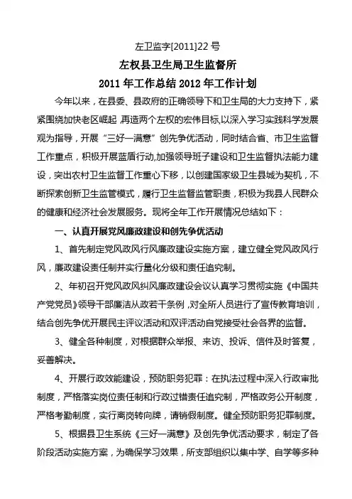 号文件精编工作总结及工作计划