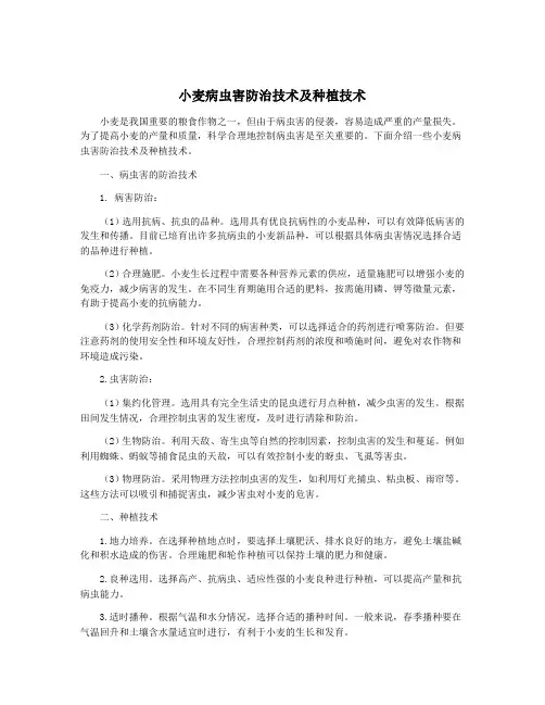 小麦病虫害防治技术及种植技术