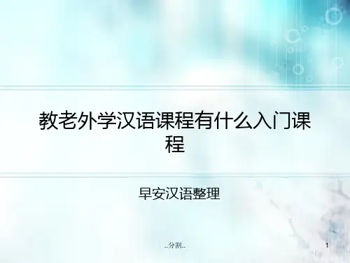 【创意版】教老外学汉语课程有什么入门课程.ppt