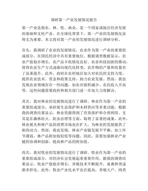 调研第一产业发展情况报告