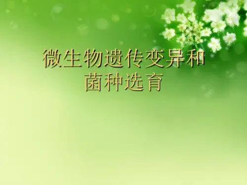 微生物遗传变异和菌种选育优秀课件