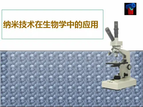 纳米生物技术
