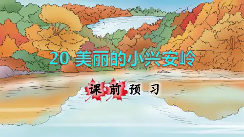 部编版三年级语文上册第20课《美丽的小兴安岭》优秀课件(共169张PPT)