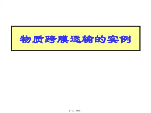 人教版生物必修一4.1物质跨膜运输实例(共14张PPT)