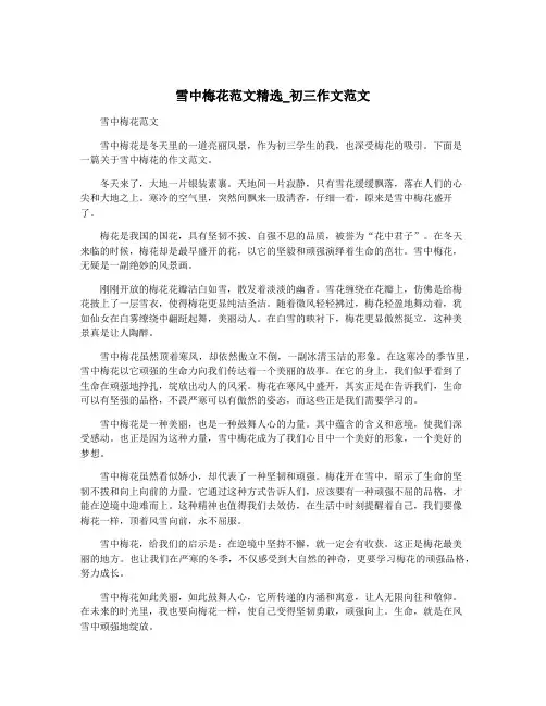 雪中梅花范文精选_初三作文范文