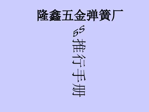 5s活动推行手册(ppt 30页)