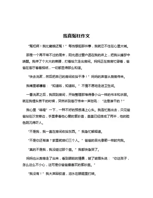 我真冤枉作文