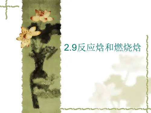 2.9反应焓和燃烧焓