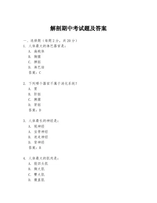 解剖期中考试题及答案