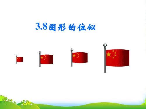 北师大九年级数学上册课件：4.8图形的位似(2)
