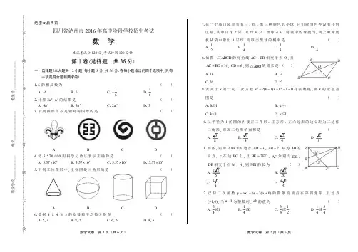 2016年四川省泸州市中考数学试卷