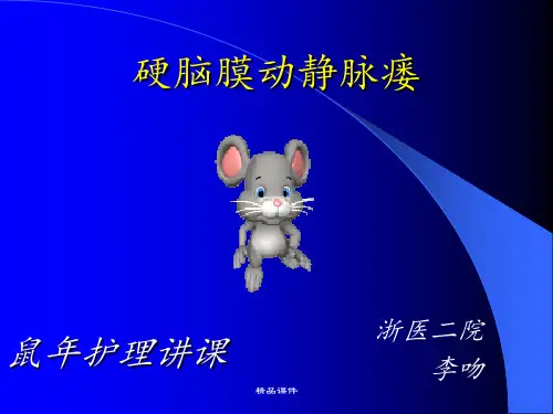 硬脑膜动静脉瘘