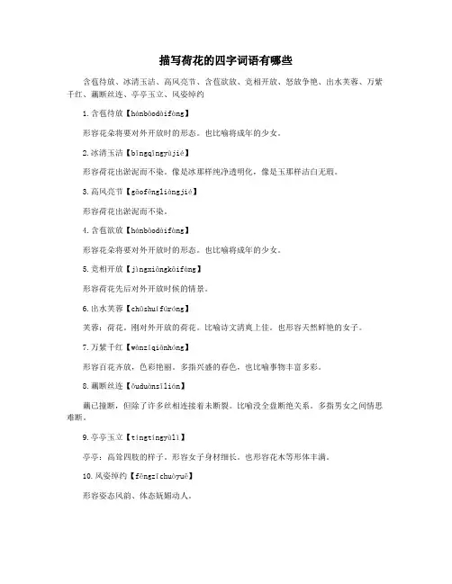 描写荷花的四字词语有哪些