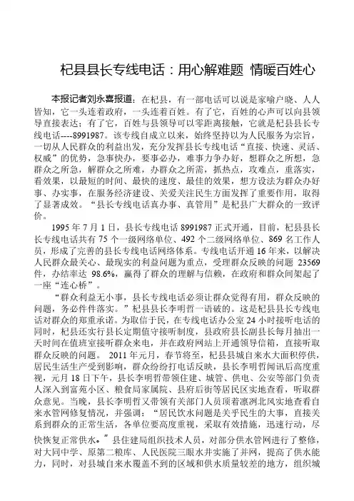 一条热线一头连着政府,1