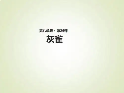 人教部编版灰雀课件(共17张PPT)