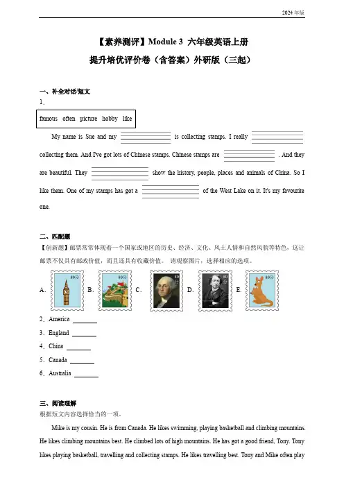 Module 3 外研版(三起)六年级上册 提升培优评价卷(含答案)