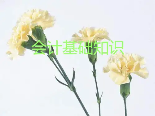 会计基础知识培训ppt课件