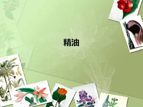 精油 PPT课件